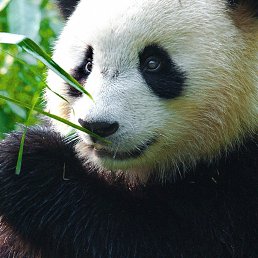 ���� ���������, ��������, 49 ��� - ��������� 22 ������ 2023