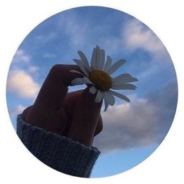 An, �����, 39 ���