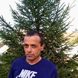 ���� ����, ������, 51 ��� - ��������� 20 ���� 2023