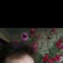 ���� �����, ������������, 44 ���� - ��������� 10 ������ 2023 � ������ ���� ����������