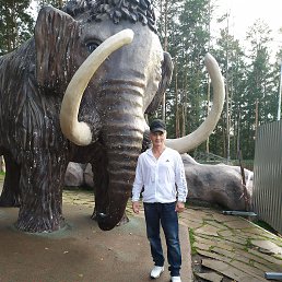 ���� �����, ����������, 52 ���� - ��������� 28 ������� 2023