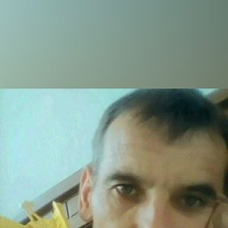 �����, �������, 46 ���