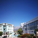 ���� ���������, �����-���������, 62 ���� - ��������� 11 ������ 2023 � ������ ���� ����������