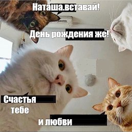 ����, �����-���������, 54 ����