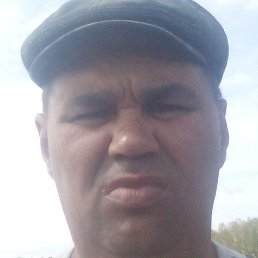 ������, ��������, 41 ���