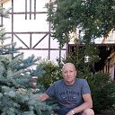 ���� ����, ������, 61 ��� - ��������� 31 ���� 2023 � ������ ���� ����������