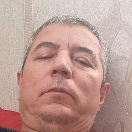 ������, �����-���������, 48 ���