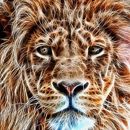 ���������, ������, 51 ���