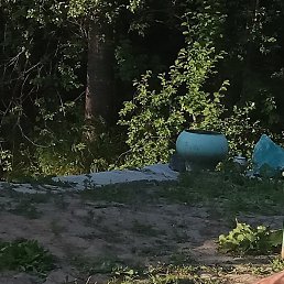 ���������, ������, 46 ���