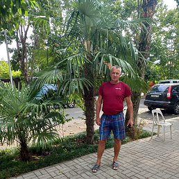 ����, �����, 55 ���