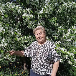 ����, ������, 71 ���