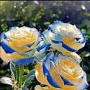  Aydin, , 59  -  26  2023    