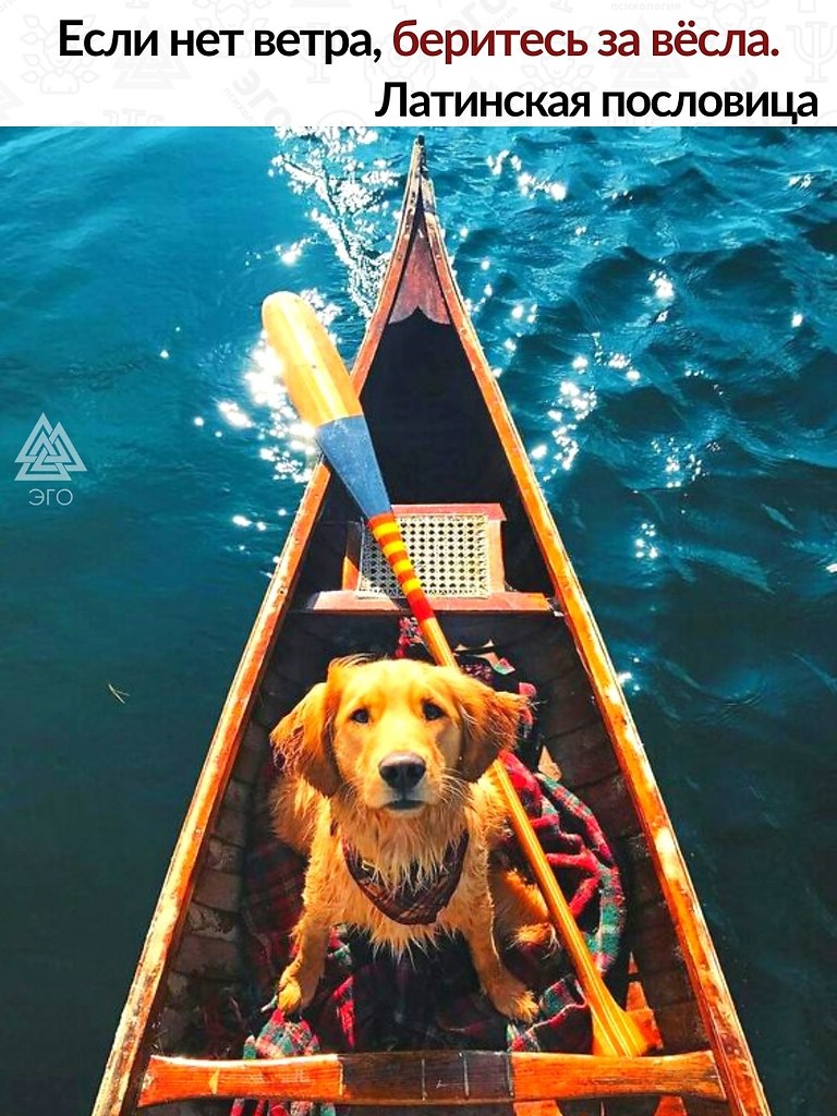    ,      .