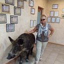 ���� ������, ������, 75 ��� - ��������� 26 ������ 2023 � ������ ���� ����������