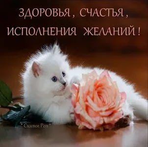 Vera Ivanovna - 5  2023  12:49