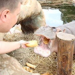 Фото Алексей, Рязань, 47 лет Алексей, Рязань, 47 лет