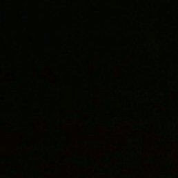 ������, �������, 38 ���