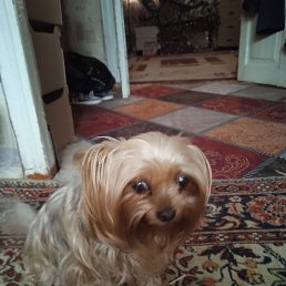 ����, ������, 47 ���