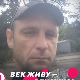 ����, ������, 43 ����