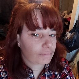 ���� ����, �����������, 42 ���� - ��������� 22 ����� 2023