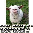 ���� ��������, ��������, 66 ��� - ��������� 28 ���� 2023 � ������ ���� ����������