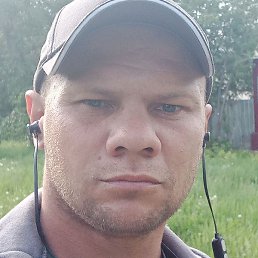 ����, ����������, 41 ���