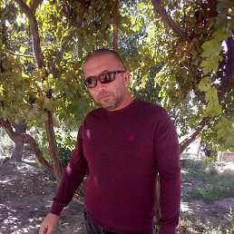 ������, �����, 45 ���