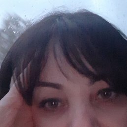 ���� �����, ������, 54 ���� - ��������� 19 ������� 2023