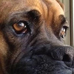 �������, ��������, 46 ���