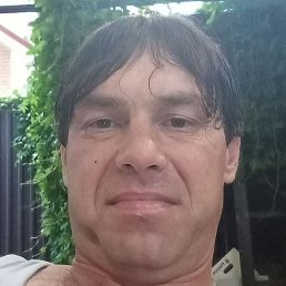 ������, ������, 41 ���