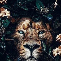 Alex, ������, 33 ����