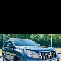 ������, ��������, 51 ���