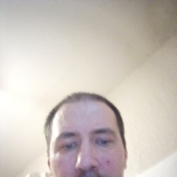 , 40, 