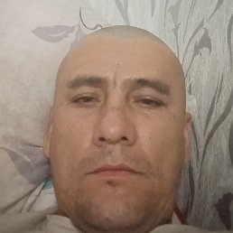 ����, ������, 40 ���