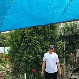 ������, ������������, 46 ���