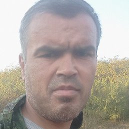 ������, ������, 40 ���