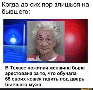   - 24  2023  09:31