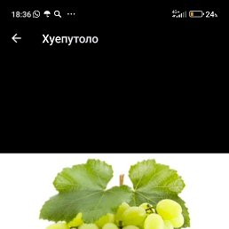 ���� ���, �����, 21 ��� - ��������� 26 ��� 2023