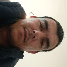 ����, ������, 38 ���