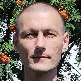 �����, ������, 45 ���