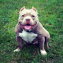 ���� �����, �������, 29 ��� - ��������� 26 ��� 2023