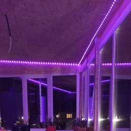 ����, ���������, 37 ���