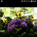 ���� ������� �������, ������, 52 ���� - ��������� 1 ������ 2023 � ������ ���� ����������