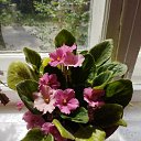 ���� ���, ������, 69 ��� - ��������� 6 ���� 2023 � ������ ���� ����������