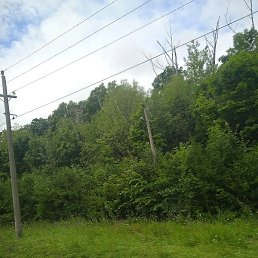 �����, ������, 35 ���