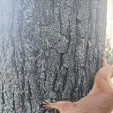 ���� �����, ������, 43 ���� - ��������� 10 �������� 2023