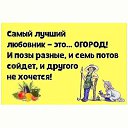 ���� ����, ���������, 68 ��� - ��������� 25 ������ 2023 � ������ ���� ����������