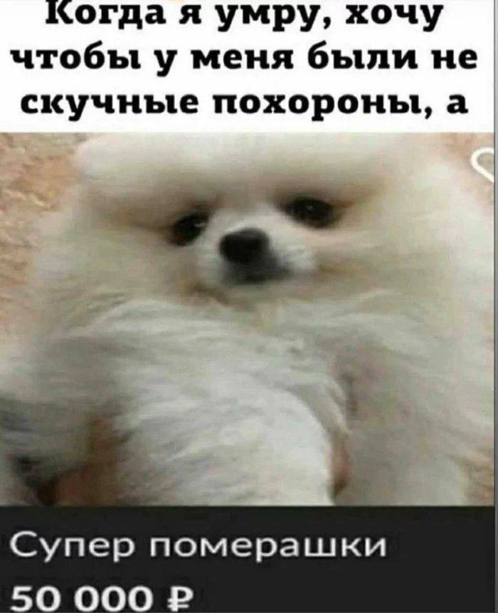    - 29  2023  09:17
