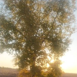 �����, ������, 57 ���