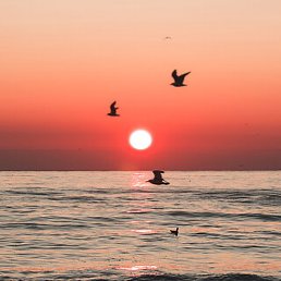 �����, �������